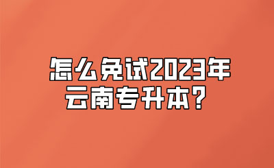 ô2023ר